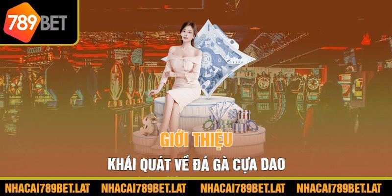 Giới thiệu khái quát về đá gà cựa dao