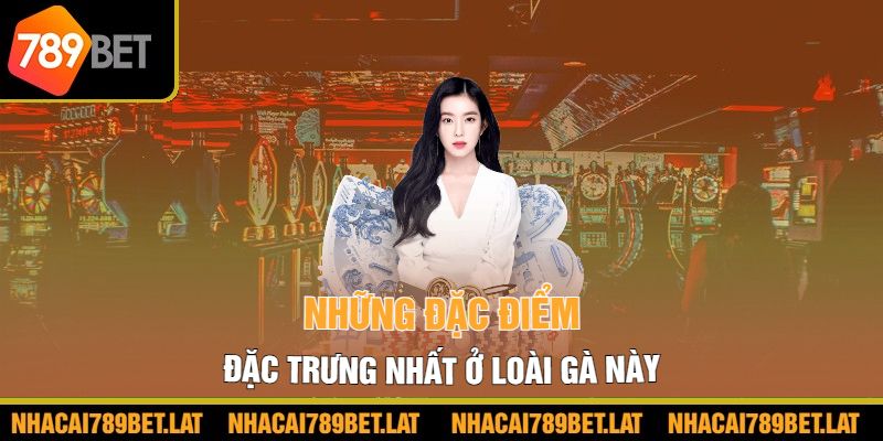 Những đặc điểm đặc trưng nhất ở loài gà này