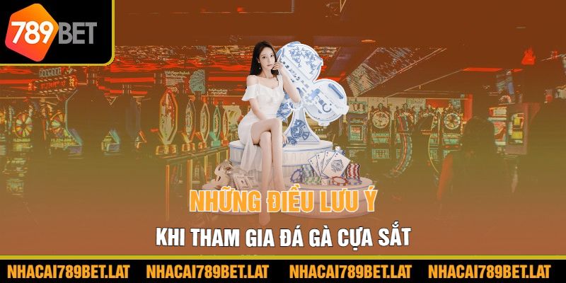 Những điều lưu ý khi tham gia đá gà cựa sắt