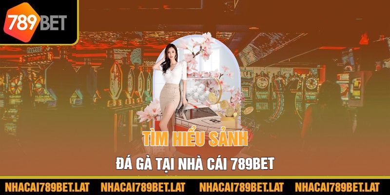 Tìm hiểu sảnh đá gà tại nhà cái 789BET