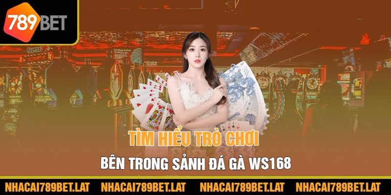 Tìm hiểu trò chơi bên trong sảnh đá gà WS168